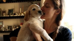 5 Dog Breeds Are Secretly Judging Your Cooking Skills (And 5 That Will Eat Anything)