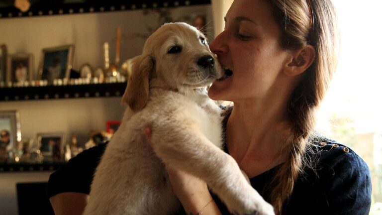 5 Dog Breeds Are Secretly Judging Your Cooking Skills (And 5 That Will Eat Anything)
