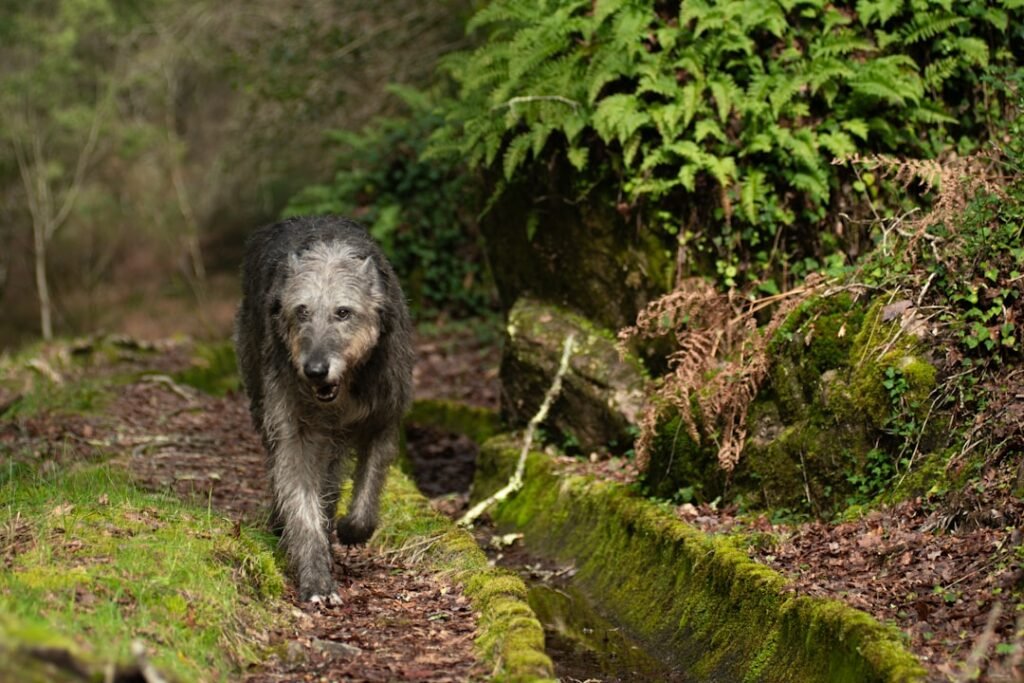 500 Mythology Inspired Dog Names