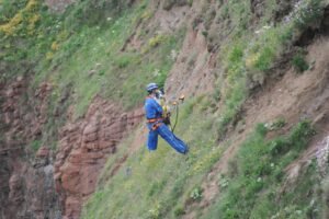 Dog saved after being stranded on cliff for 11 hours