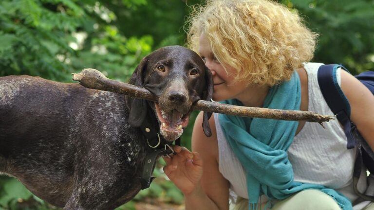 Your Dog "Smiles" Showing Their Teeth (It's Not Aggression - It's Mirroring You)