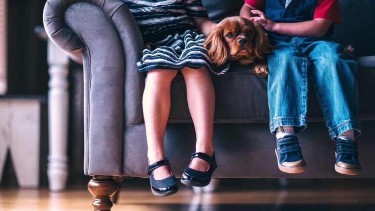 10 Common Human Habits That Confuse Your Dog (And How to Fix Them)