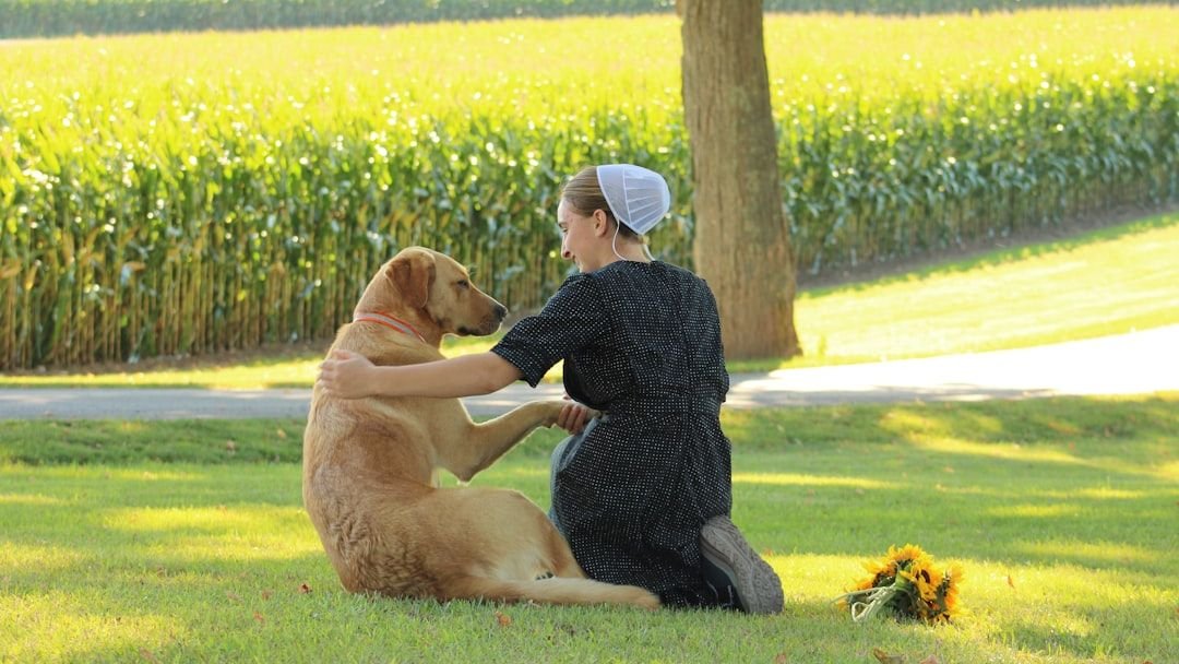 Why Does Your Dog Always Know When You're Feeling Sad or Stressed?