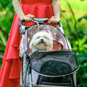 Top 10 Dog Strollers Ranked by Reviews and Tests (Image Credits: Images.ctfassets.net)