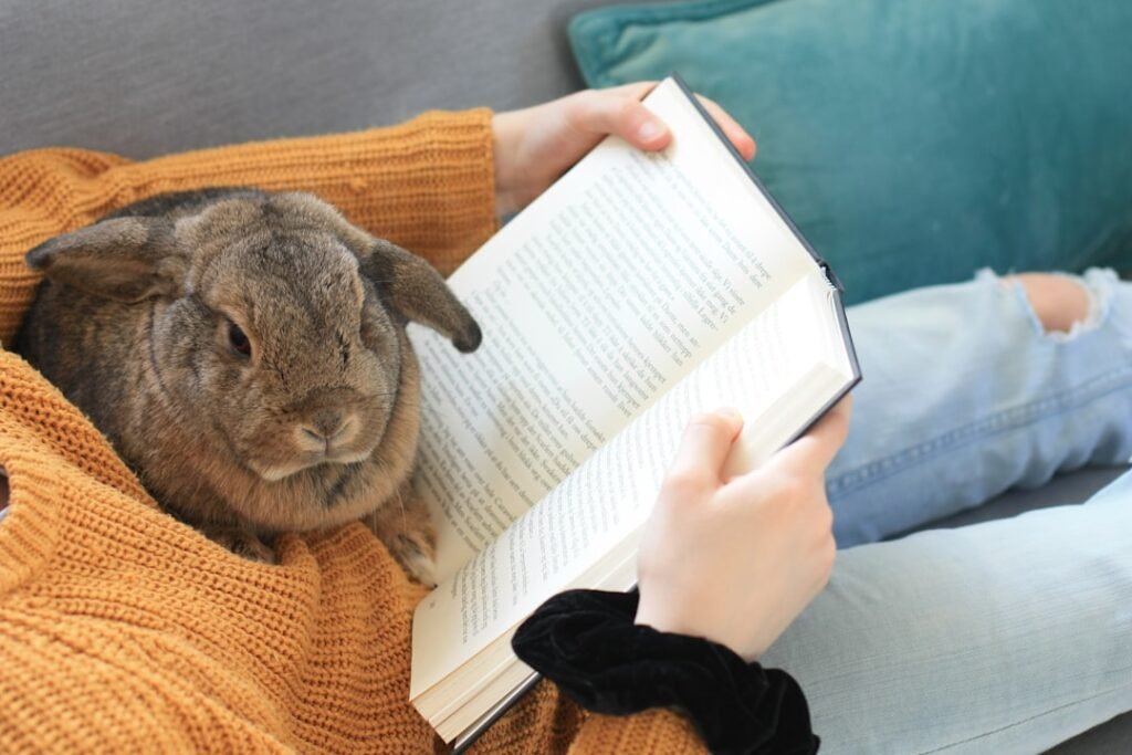 5 Pet-centered books every Pet owner should read: Stories that change how you see Companionship