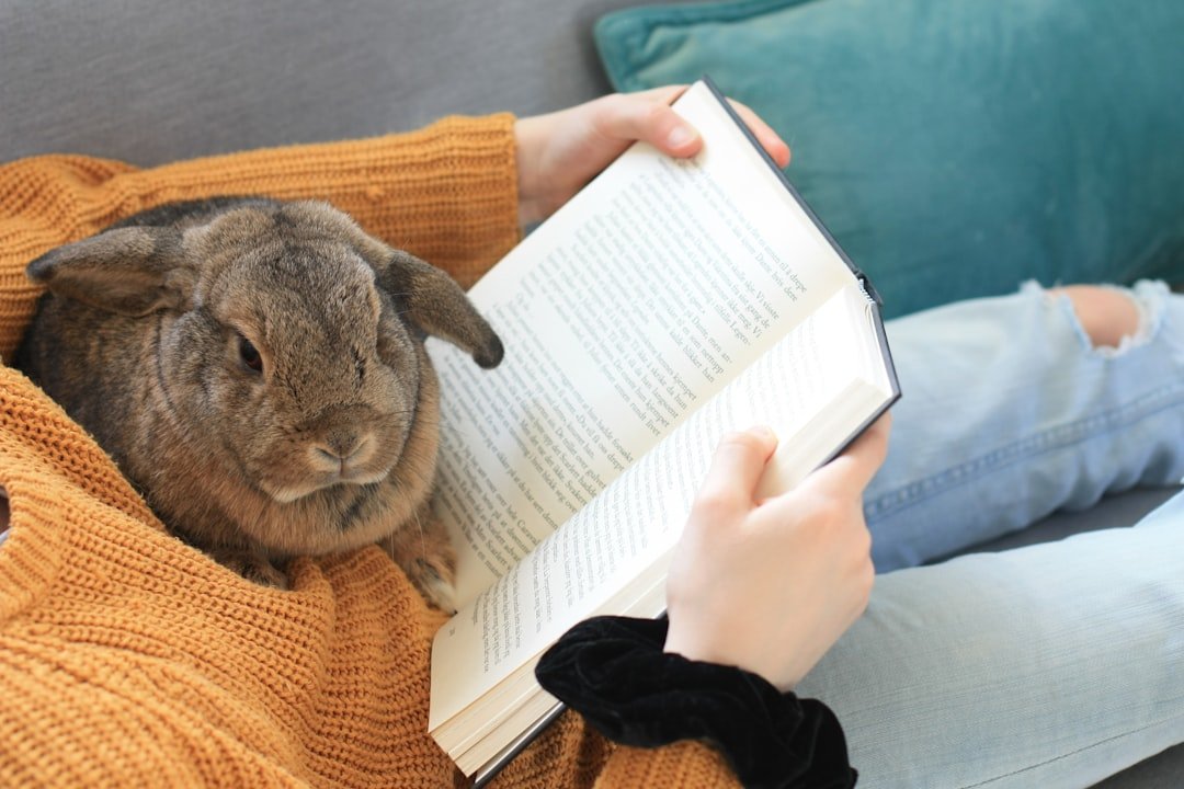 5 Pet-centered books every Pet owner should read: Stories that change how you see Companionship