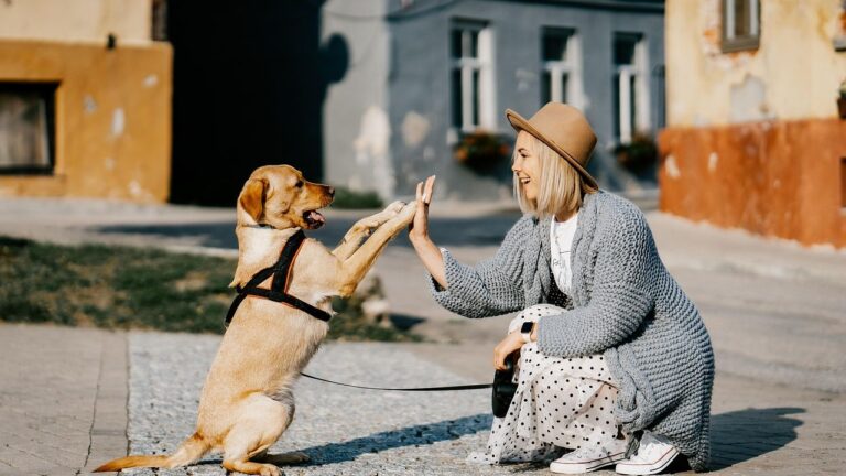 25 Most Loving Dog Breeds That Will Melt Your Heart