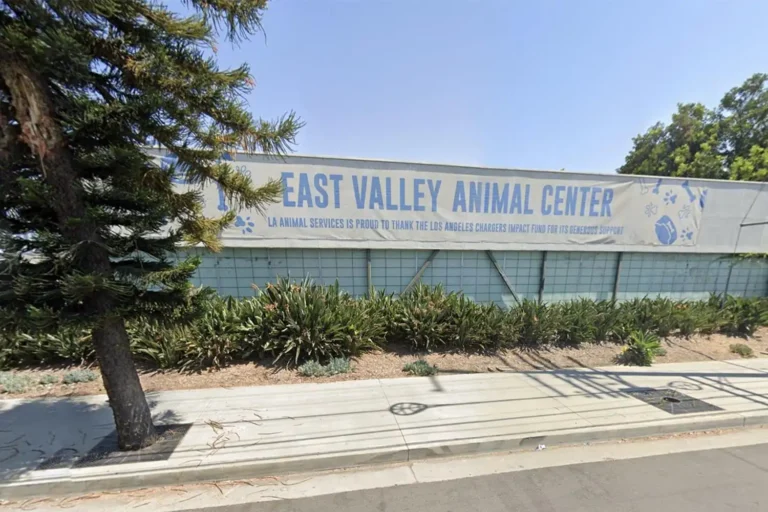 LA Shelter Attack Leads to $5.4 Million Jury Verdict Against City