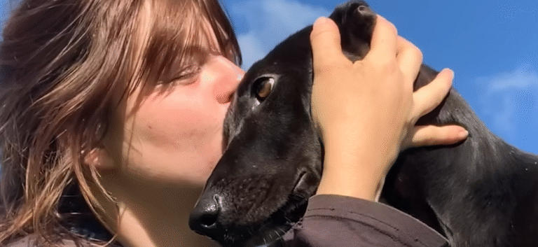 Watch How Rescue Dogs React To Kisses