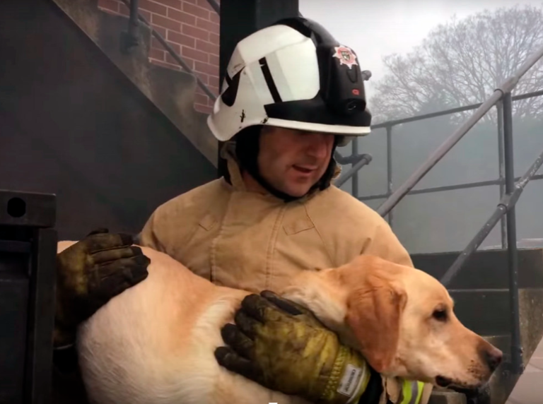 Fire Fighters Rescue Couple Who Ran Back into Burning Home to Save Their Dog