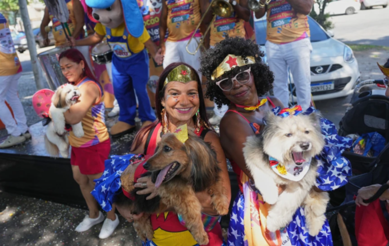 Superhero Pups and Fairy Dogs Parade at Rio Carnival to Combat Pet Cruelty