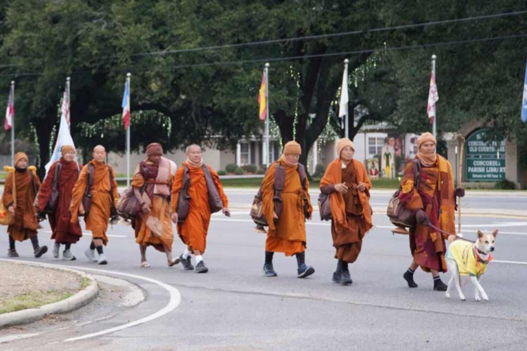 Peace Dog Aloka’s Resilient Spirit Shines on Monks’ 2,300-Mile Journey for Compassion