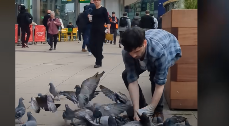 Man Spends His Free Time Helping Injured Pigeons