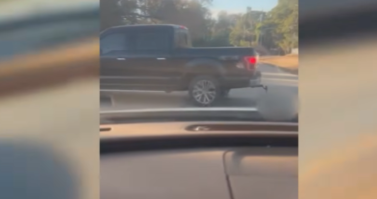 69-Year-Old North Fort Myers Man Arrested After Dragging Australian Cattle Dog Behind Truck
