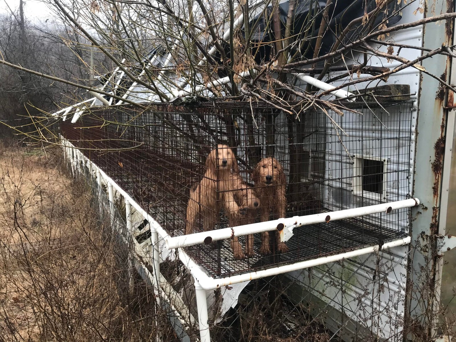 USDA's Five Enforcement Priorities