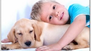 7 Dog Breeds That Are Natural Nannies For Young Children and Other Dogs