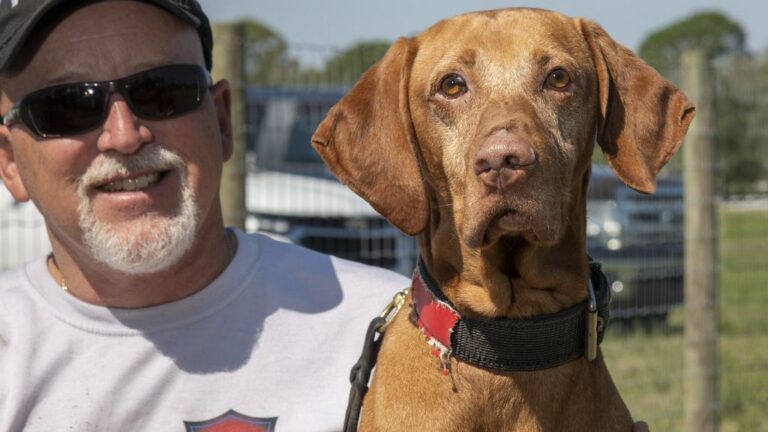 6 Common Habits That Make Your Dog Think You're the Best Human Ever