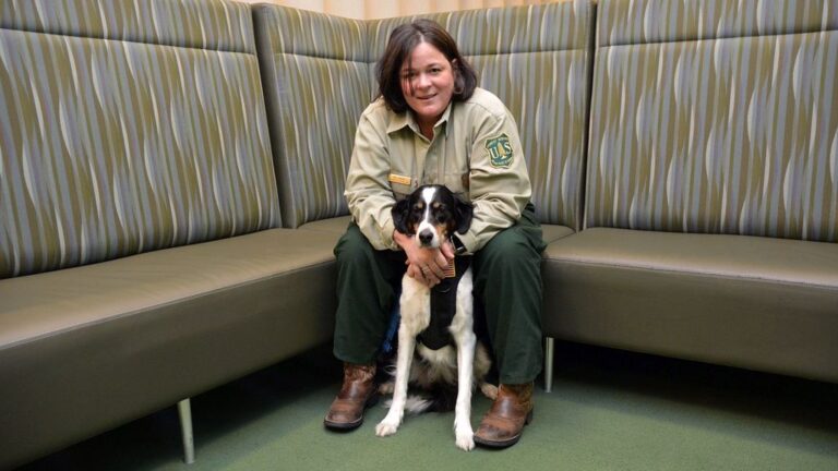 Your Dog Sits on Your Feet (They're Not Claiming You - They're Anchoring Themselves?)