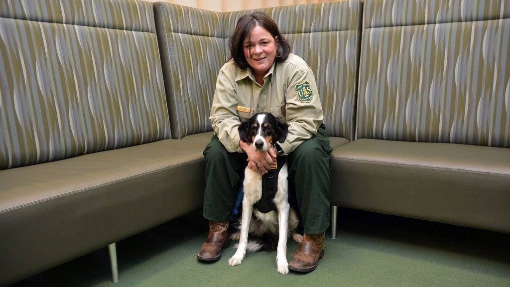 Your Dog Sits on Your Feet (They're Not Claiming You - They're Anchoring Themselves?)