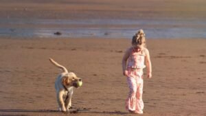 9 Dog Breeds That Are Unfazed by Loud Noises and Crazy Kids