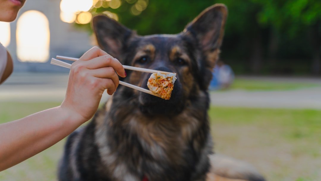 Ignoring Your Dog's Sudden Pickiness at Mealtime Is a Mistake Many Owners Make
