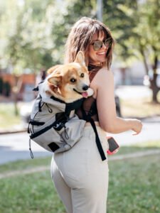 The Best Dog Backpack Carriers: Expert Reviews
