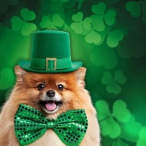4 Fun and Festive Ways to Celebrate St. Patrick’s Day With Your Pup