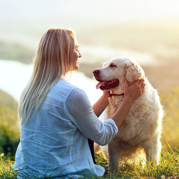 New Colorado Bill Would Redefine Pets as Family—Not Property