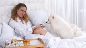 8 Simple Ways to Help Your Dog Adjust to a New Home Environment