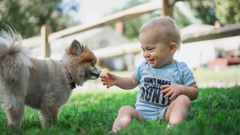 UNCOVER The Shocking Truth About What Your Dog Really Thinks of Your Voice