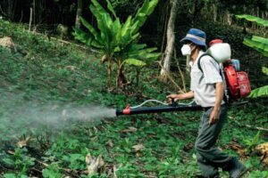Nations not on track to meet UN 2030 pesticide risk reduction targets: Study