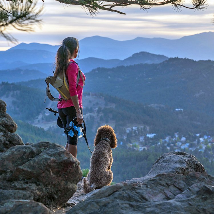 The Ultimate Dog-Friendly Guide to Denver