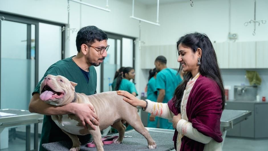 7 Tips For Successfully Introducing Your Dog To The Vet Without Stress