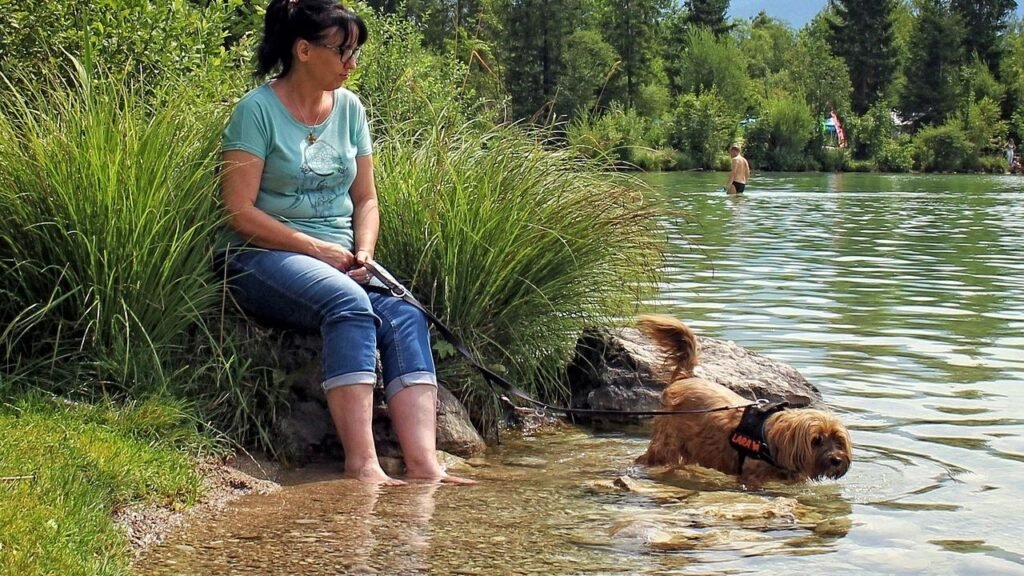 10 Ways To Help a Traumatized Dog Love and Trust Again