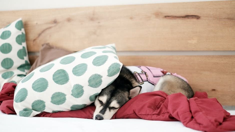 Your Dog's Dream World: What Do They Really Experience During Sleep?