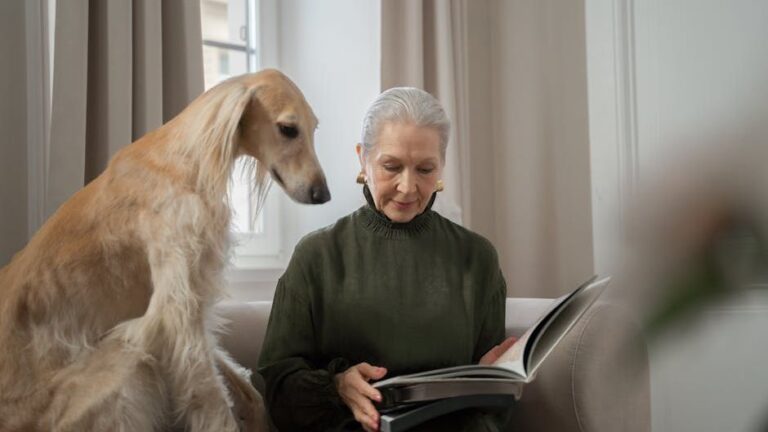 How Can You Tell If Your Older Dog Is Still Happy and Thriving?