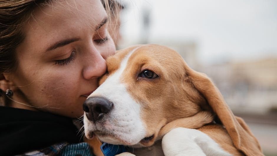 Your Dog Understands More Than You Think: The Silent Language of Loyalty