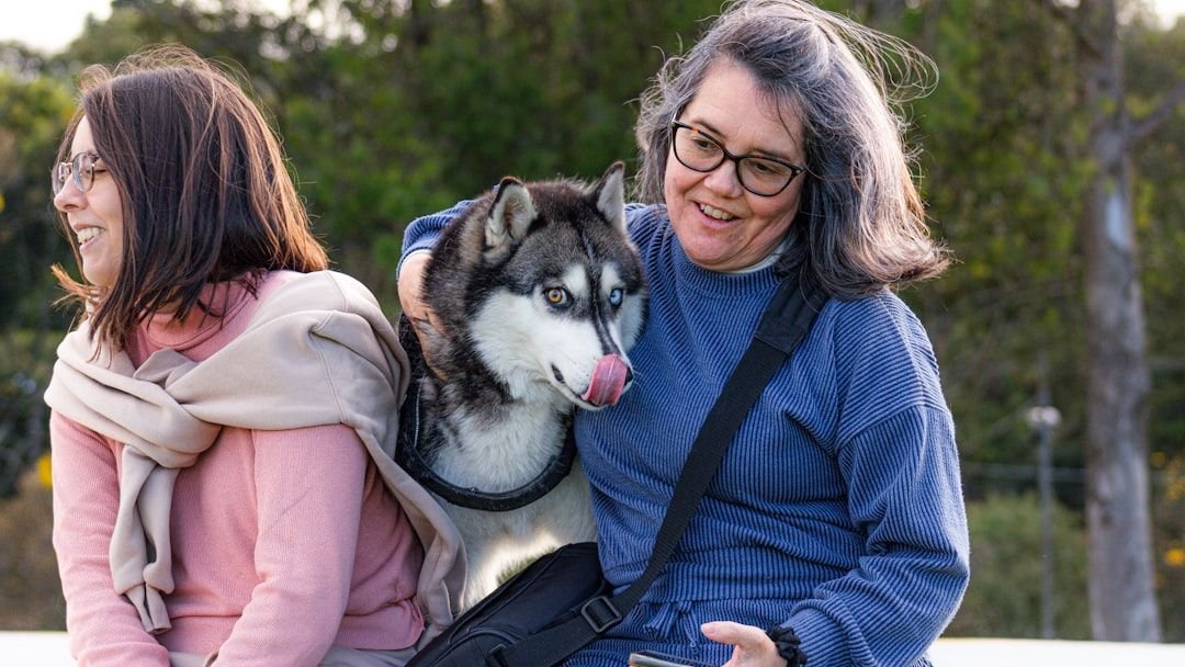 Your Dog Licks Themselves After You Kiss Them (They're Not Wiping You Off - They're Savoring You)