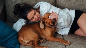 10 Surprising Superpowers Your Dog Possesses (You Won't Believe #3!)