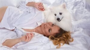 Aries Dogs vs. Libra Dogs: How Their Zodiac Sign Shapes Their Play Style