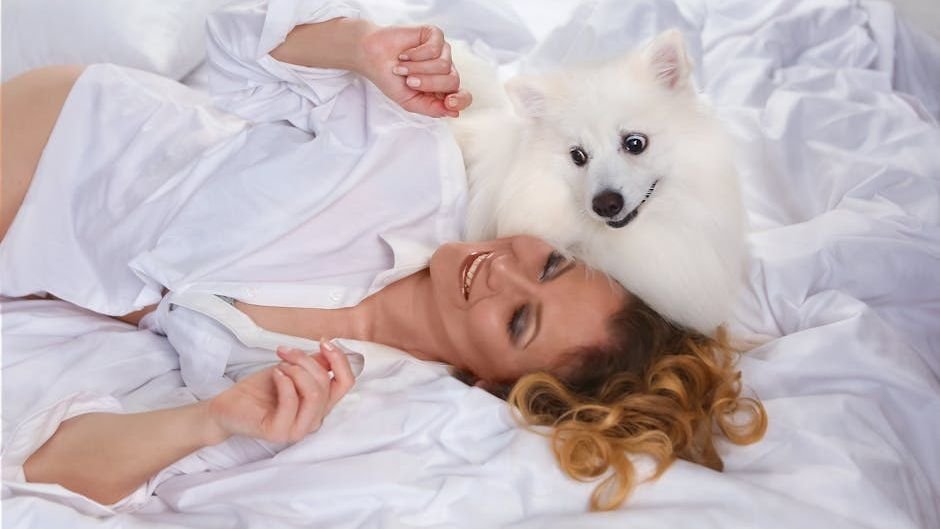 Aries Dogs vs. Libra Dogs: How Their Zodiac Sign Shapes Their Play Style