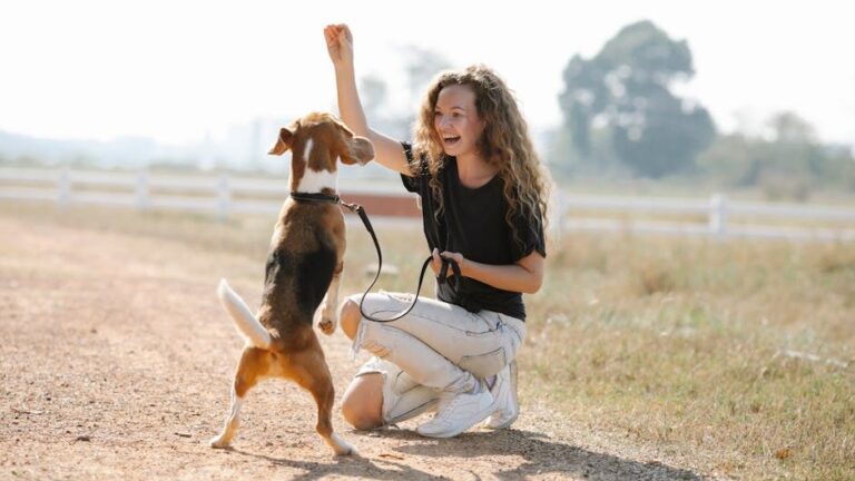 10 Mistakes Loving Owners Make That Confuse Their Dogs