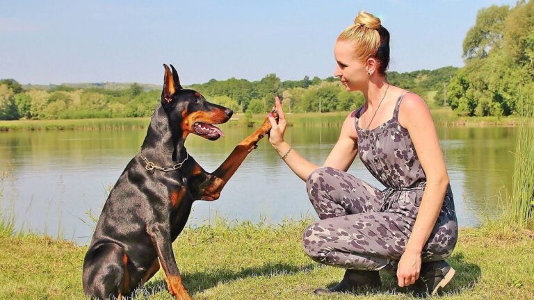 The Dog Breeds Most Likely To Bond With Zodiac Sign Leo