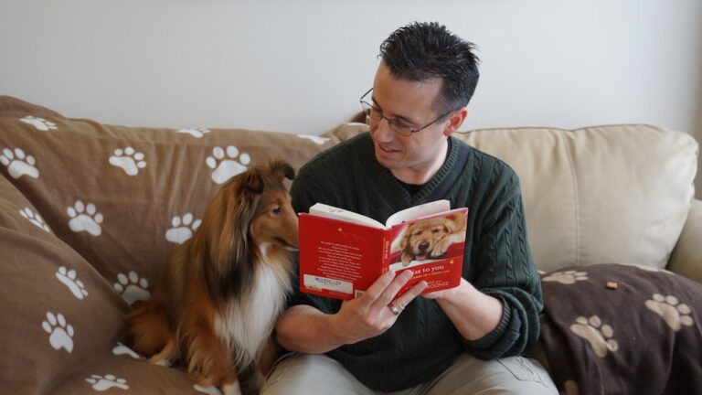 7 Everyday Actions That Build Unconditional Trust Between You and Your Dog