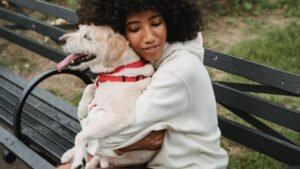 7 Ways Your Dog Secretly Communicates Their Love (Beyond Licks and Cuddles)
