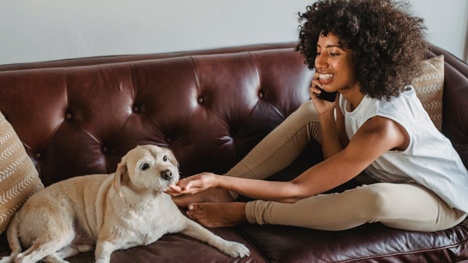 15 Small Moments Dogs Wait for Every Single Day