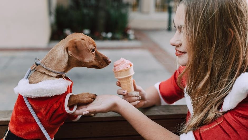 10 Silent Ways Dogs Promise They'll Always Stay Loyal