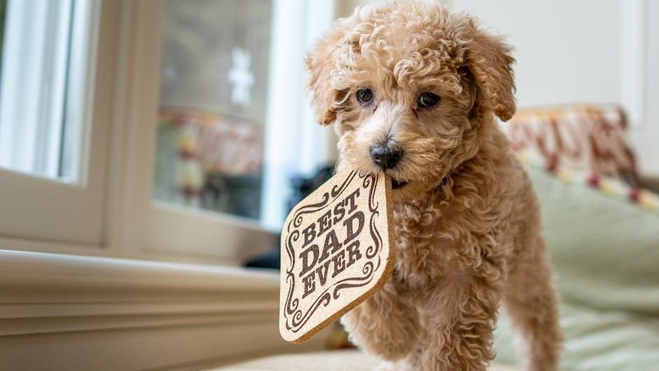 Your Dog Brings All Their Toys Out When Guests Arrive (They're Not Showing Off - They're Sharing Wealth)