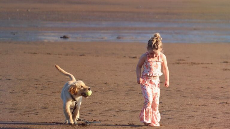 Signs Your Dog Isn't Comfortable Interacting With Children