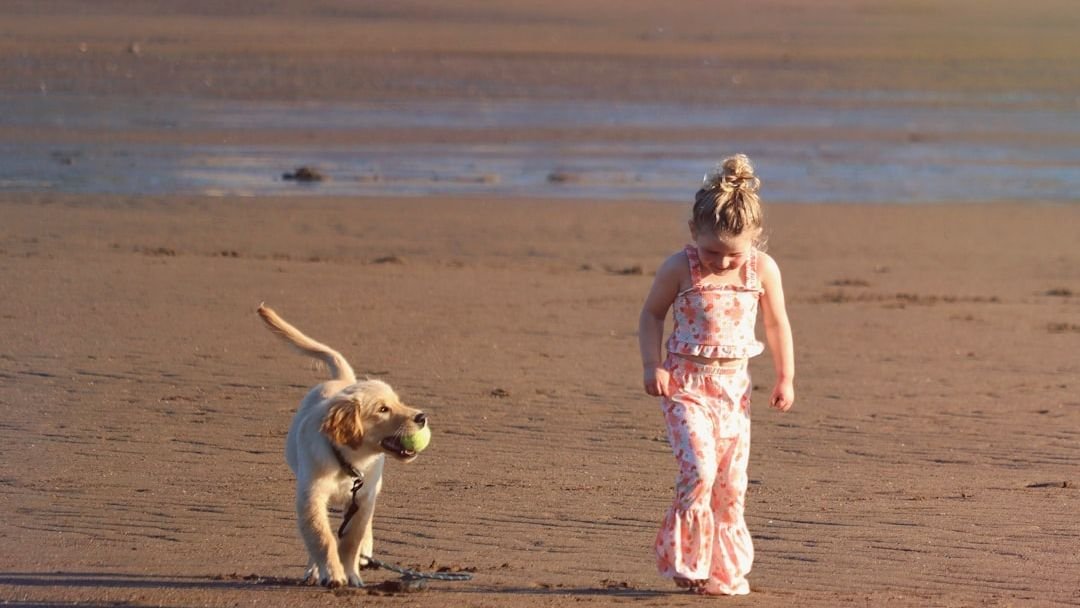 Signs Your Dog Isn't Comfortable Interacting With Children